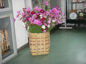 IMGP1630