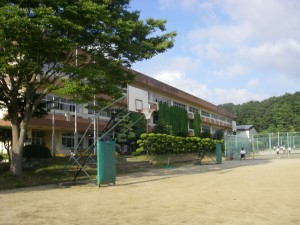 IMGP2253