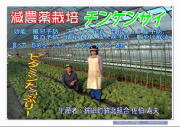 [syuka20.jpg]