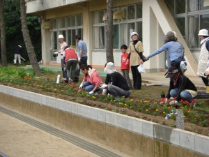 新館校舎前花壇にサルビアなどを植えていただきました(7:45)