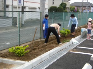 駐車場わきに苗木を植えていただきました(8:00)