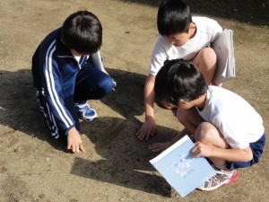 日なたの地面は明るいね。\