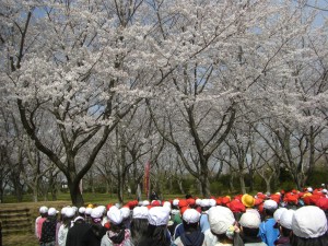 満開の桜の下　児童会長の話を聞く子どもたち(9:30)