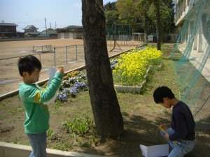 気温を測定する４年生の子どもたち(11:00)