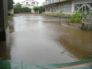 朝の大雨で，中庭は一時水浸しになりました。(8:05)