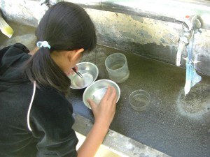 メダカの卵を水草からとる生き物係さん(7:50)