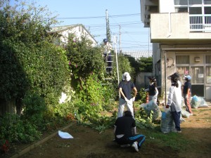 樹木の剪定　脚立の上で作業する校長先生(8:10)