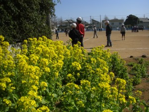 菜の花のそばでおにごっこをする２年生\\