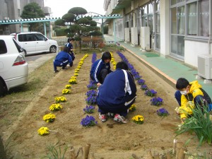 草取りをする飼育栽培委員のみなさんと担当職員(7:55)