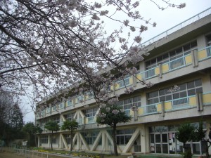 新館校舎と桜(7:40)
