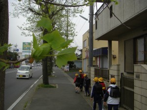 プラタナスの街路樹の下,学校へと向かう子どもたち(7:45)