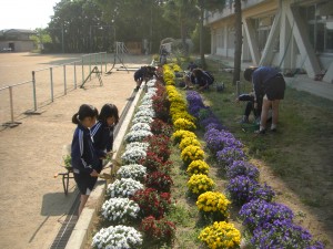 ビオラの花が満開の花壇の手入れを行う飼育・園芸委員会の子どもたち(15:30)