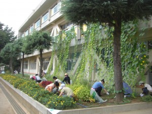 花壇の草取り作業(7:50)