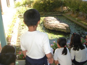 校長室前の池で，カエルを見つめる子どもたち(10:15)