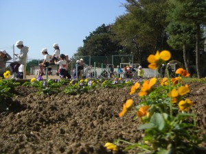 ビオラの花々と楽しく遊ぶ子どもたち(10:20)