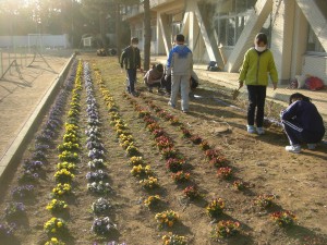 花壇の手入れをする飼育・栽培委員の子どもたち(15:15)