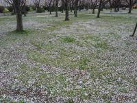 20140409_092525.jpg
