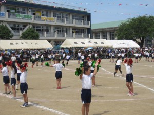 IMG_1207 IMG_1207