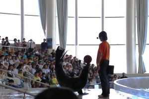 IMG_0791