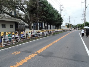 DSCN4911