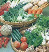 �Z���E�~�c�o�E�����R��