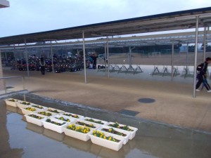 DSCN1453