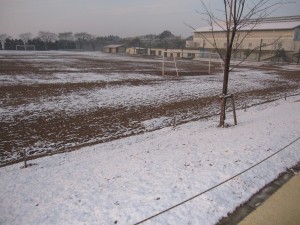 IMG_2508
