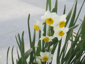 IMG_6008