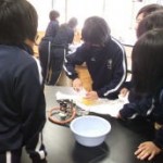 アイスクリーム作り4