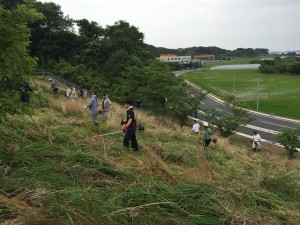 IMG_0938