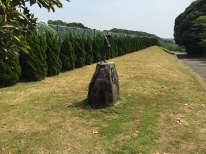 IMG_1031