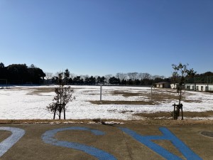 IMG_4986[1]