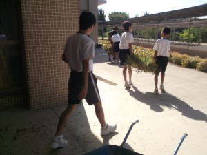 プランターの設置②