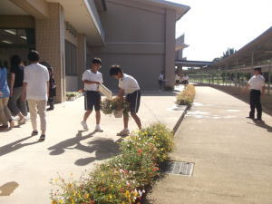 プランターの設置③