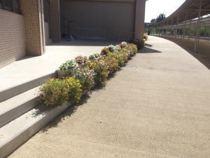 プランターの設置⑦