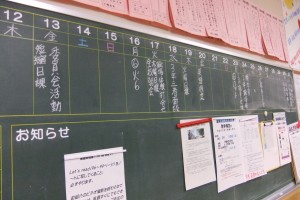 DSCF7554
