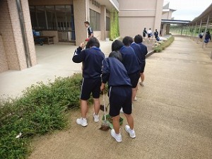 DSC_3071 (1) DSC_3071 (1)