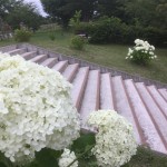 294D25A0-86D9-4921-B30A-45DEDB2E1828