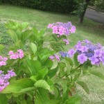 47F6CBBC-7A1E-43B8-B7A6-B4EBEE21FC17