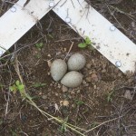 9341B648-FD12-4D26-9D02-67B4F7671CD6