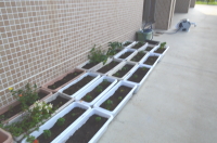 国体プランター③