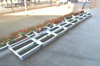 国体プランター①