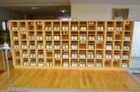 感染状況(昇降口)