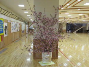 桜(全体)\\ 昨日いただいた桜です。\\