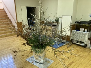 IMG_5173 IMG_5173