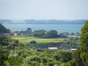 P7316171