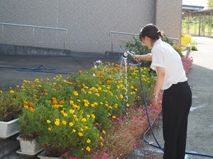 P8276328