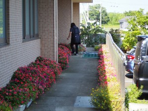 P8276335