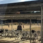 d0a1e451-3625-45a9-8038-2dfe6ee292bf