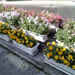 WIN_20260416_15_36_12_Pro WIN_20260416_15_36_12_Pro